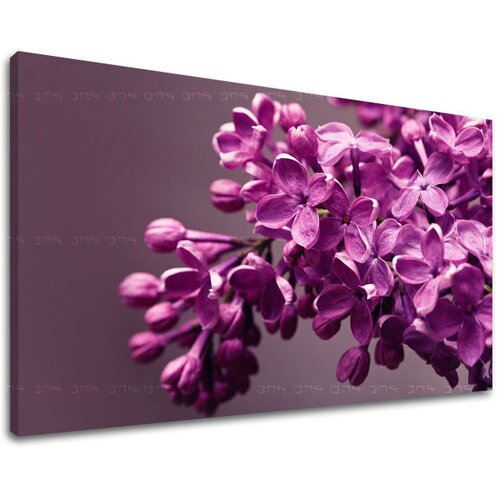  Slike na platnu cveće  (moderne slike na platnu) Cene