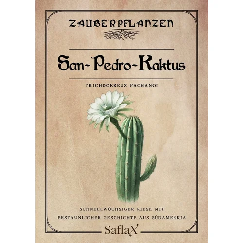 Saflax San Pedro Cactus - 1 pkt.