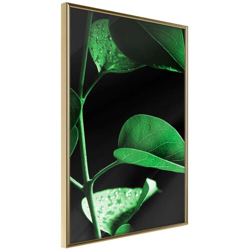  Poster - Calm After the Storm 40x60 Slike