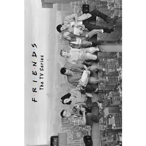 Friends PLAKAT PRIJATELJI KOSILO NA NEBOTIČNIKU, (20837350) Cene