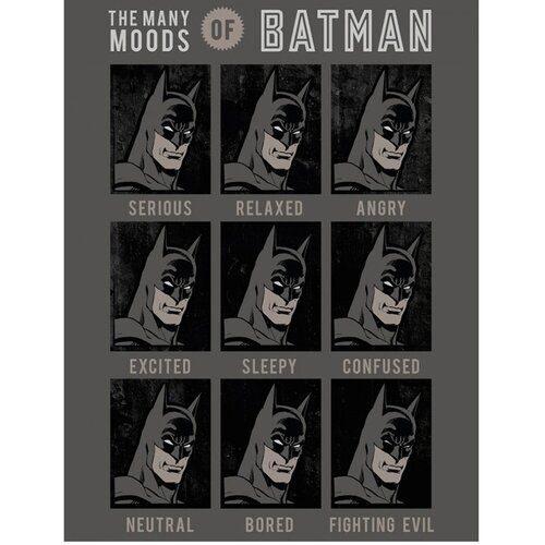 Batman The Many Moods odeja 130x170 Cene