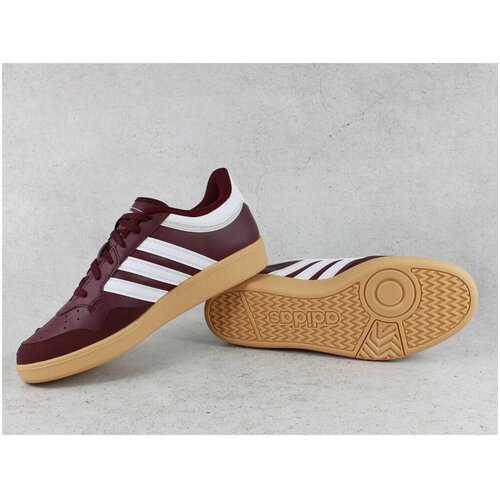 Adidas Nizke superge Hoops 4.0 Bordo Slike