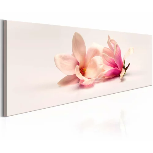  Slika - Beautiful Magnolias 120x40