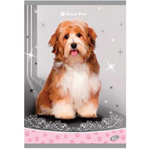 Teka MEKI UVEZ A4 KARO 40 PLUS 2L 80G SWEET PETS ELISA Cene