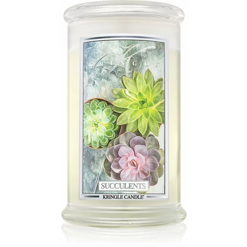 Kringle Candle Succulents dišeča sveča 624 g