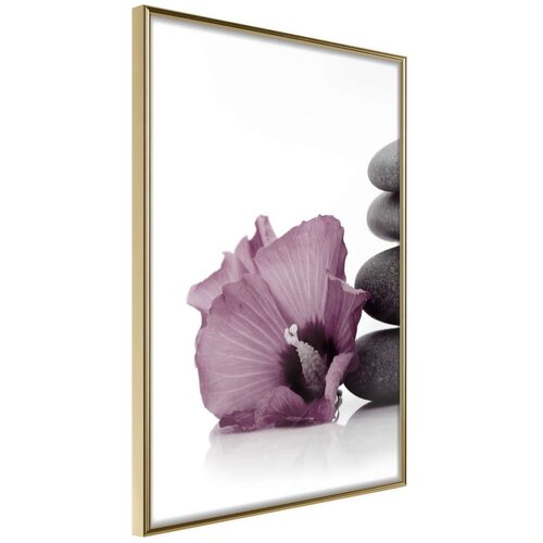  Poster - Violet Harmony 20x30 Slike