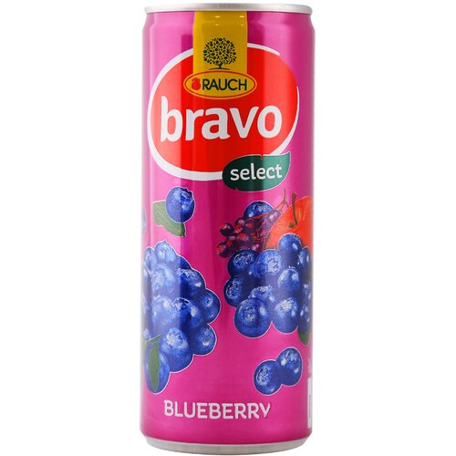 Rauch Bravo Negazirani sok Borovnica, 0.25l Slike