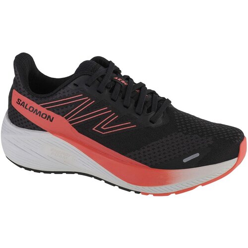 Salomon aero blaze w 472085 Cijene