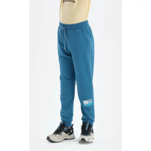 Dagi Blue Slogan Label Striped Ribbed Jogger Pants