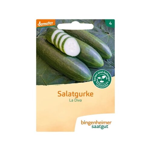 Bingenheimer Saatgut kumara kot prigrizek "La Diva" Cene