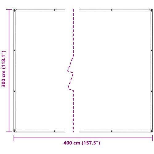  Pokrov za biljke *Transparent*an 3 x 4 m PE Slike