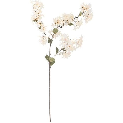 Bloomingville Umjetna biljka (visina 100 cm) Myrtle &ndash; Cijene