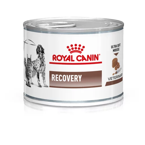 Royal Canin Veterinary Feline Recovery - 12 x 195 g