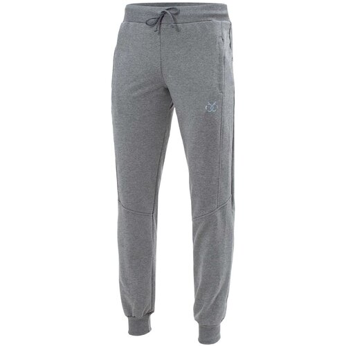 BRILLE mu&amp;scaron;ki donji deo trenerke Stan Jogger, Sivi Slike