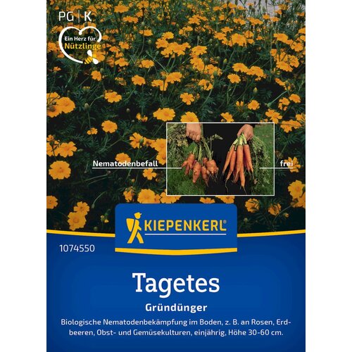 KIEPENKERL Tagetes "Single Gold" (Nematodenkiller) - 1 pkt. Cene