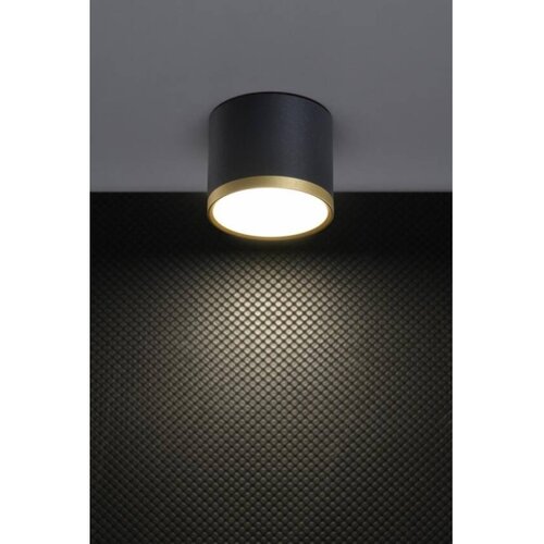  LED spot svetiljka TUBA LED/9W/230V crna/zlatna Slike
