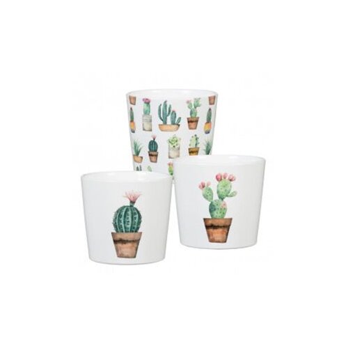 Scheurich saksija 870/07 cacti, carla, carlos sh 61877 Slike