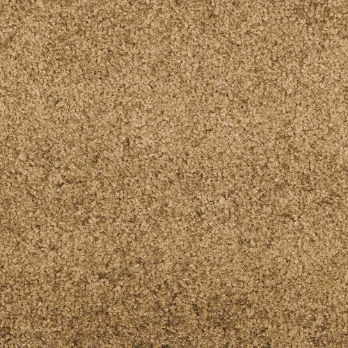  Otirač Ostalo Krem i crna 120 x 250 cm Poliamid i PVC Slike