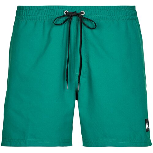 Quiksilver Kopalke / Kopalne hlače EVERYDAY SOLID VOLLEY 15 Zelena Slike