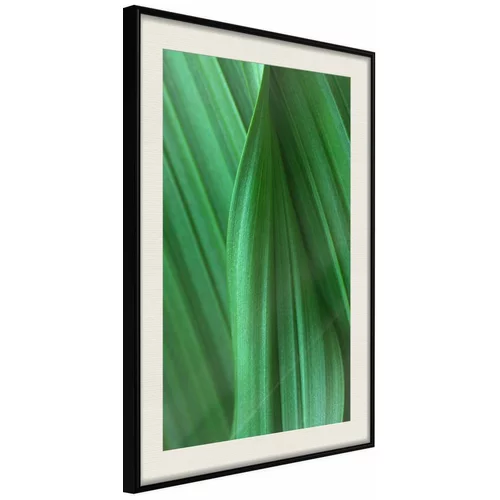  Poster - Leaf Structure 40x60