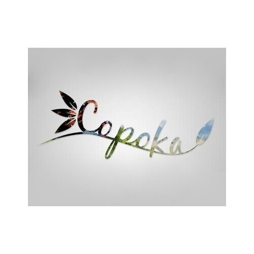 Steam Copoka Key GLOBAL Cene