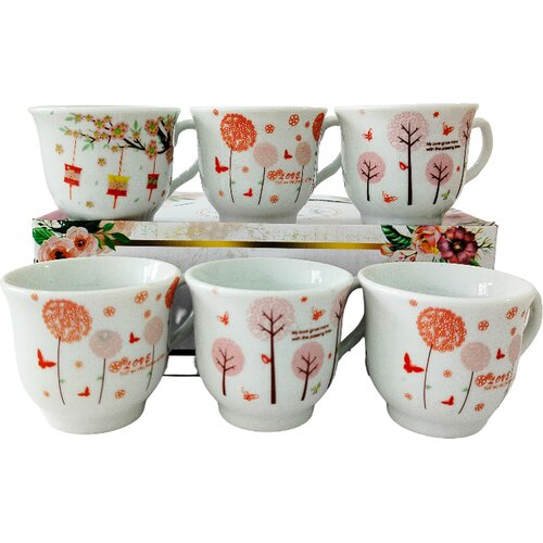 ASCH Set &scaron;olja 6348 80ml Cene