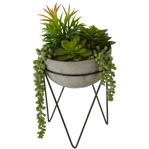 Premier Housewares Umetna sukulenta v sivem lončku Fiori Slike