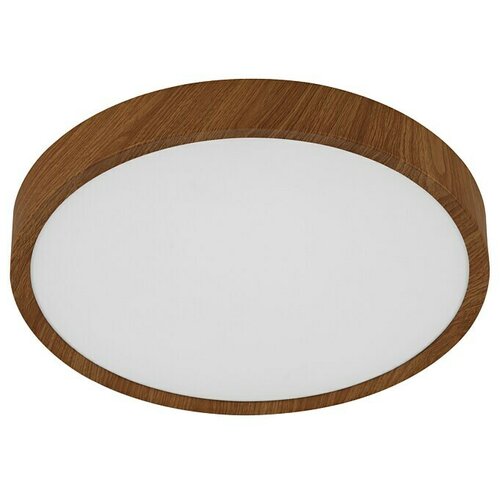 Eglo Okrugla stropna LED svjetiljka MUSURITA (19,5 W, Ø x V: 340 mm x 6 cm, Topla bijela) Cijene