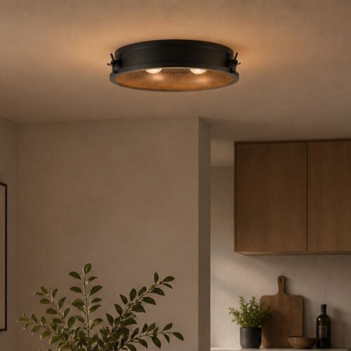 Brilliant plafonsko svetlo zois, 2x E27 (max. 28 w), 230 v, prečnika 42 cm, crna Slike