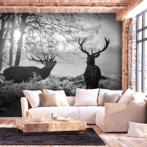  Tapeta - Deers in the Morning 450x315