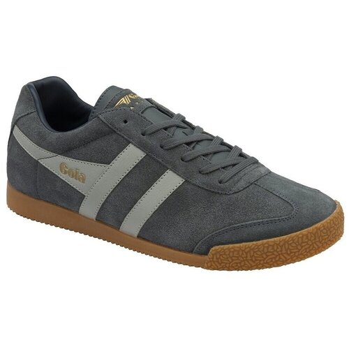 Gola Nizke superge Harrier Suede Leder Kostanjeva Cene