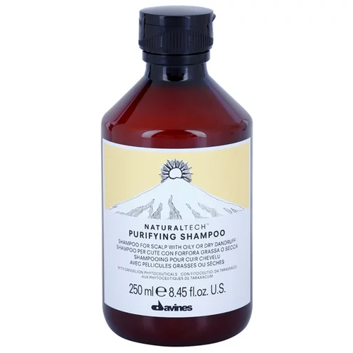 DAVINES Naturaltech Purifying Shampoo čistilni šampon proti prhljaju 250 ml