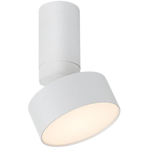 Rabalux spot lampa Ovidia, Nadgradna, Podesiva, LED, 10W, 3000K, Bela Slike