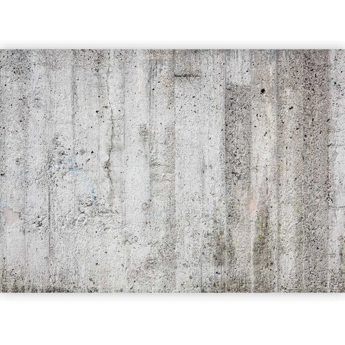 Foto tapeta - Grey Emperor 500x350 Standard Slike