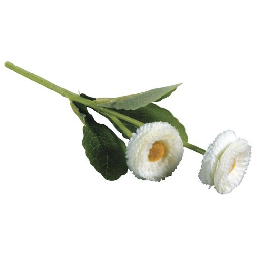 RAYHER Marjetica, bela, 23cm, dva cvetova, (20633988) Cene
