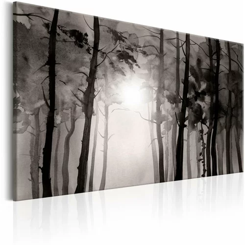  Slika - Foggy Forest 120x80