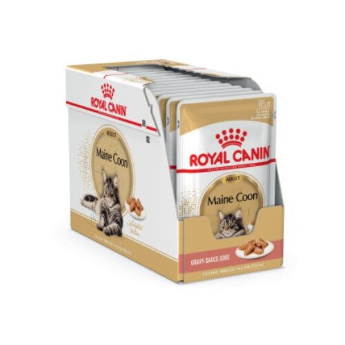 Royal Canin Maine Coon Adult 12 x 85 g Slike