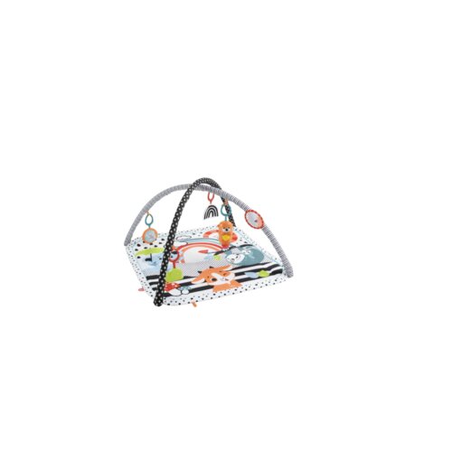  Fisher-Price HBP41 podloga za igro za dojenčke Vi&amp;scaron;ebarvno Gimnastika za dojenčke Slike