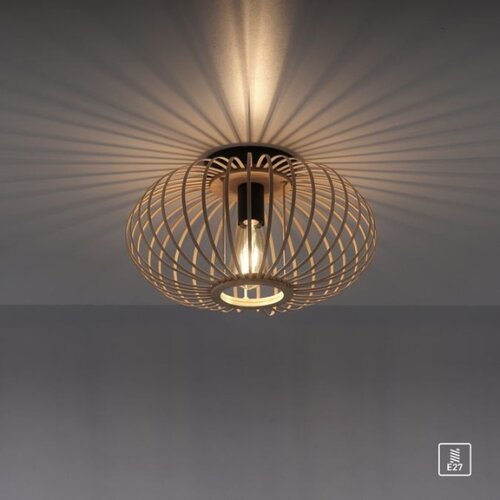 LEUCHTEN DIREKT 11410-79 - Plafonski luster RACOON 1xE27/40W/230V prečnik 40 cm Slike