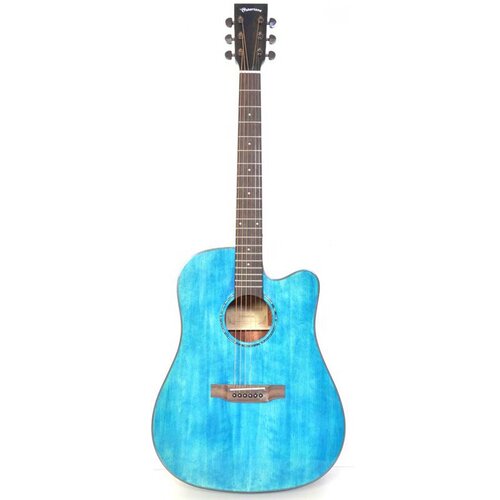 Wakertone Akustična gitara CD60C-BLU Cene