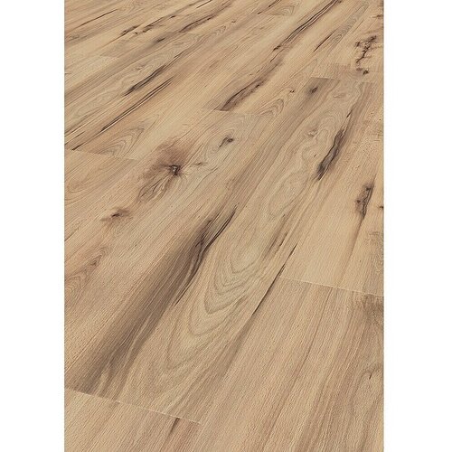 LOGOCLIC Family Laminat Varese (D x Š x D: 1.288 x 195 x 7 mm, Rustikalni pod, bukva Varese) + BAUHAUS jamstvo 15 godina Cijene