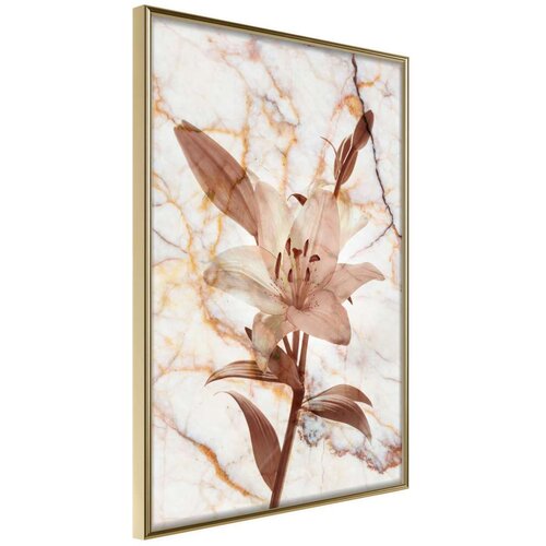  Poster - Lily on Marble Background 20x30 Cijene