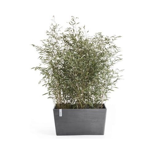 Ecopots Paris - siva - D 60 x G 26 x V 40 cm (46,7 litra) Cene