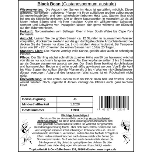 TROPICA Avstralski kostanj &amp;quot;Black Bean&amp;quot; - 1 zrn. Slike