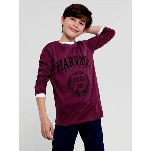 Sinsay majica dugih rukava Harvard za dječake 4312O-34X