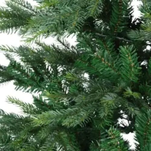  Novogodišnja jelka Grandis Fir 150cm 68.1450 Cene