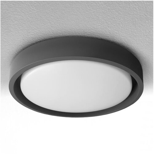  Brilagi - LED plafonsko svetlo MATTEO LED/24W/230V, prečnik 31 cm, crno Cene