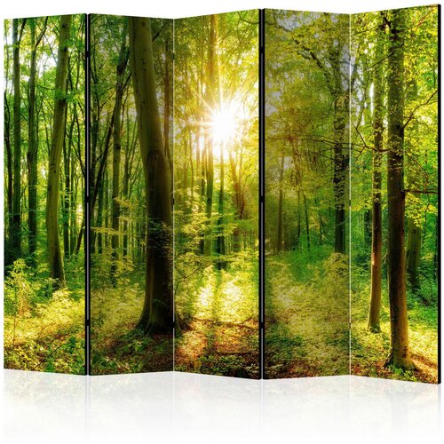 Artgeist Paravan - Forest Rays II 225x172 Cene