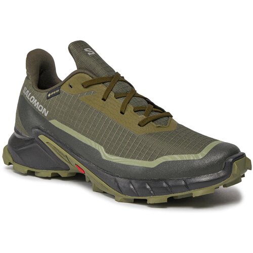Salomon muška patika Alphacross 5 GTX L47310300 Slike