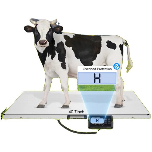 Oem Veterinarska digitalna tehtnica za živino, dva načina tehtanja, LCD zaslon, (5000136822) Slike